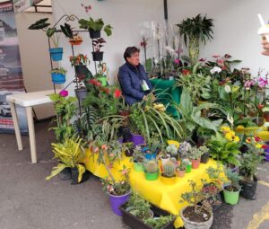 Imagen de WhatsApp 2025-05-30 a las 16.57.30_0a6bd07a