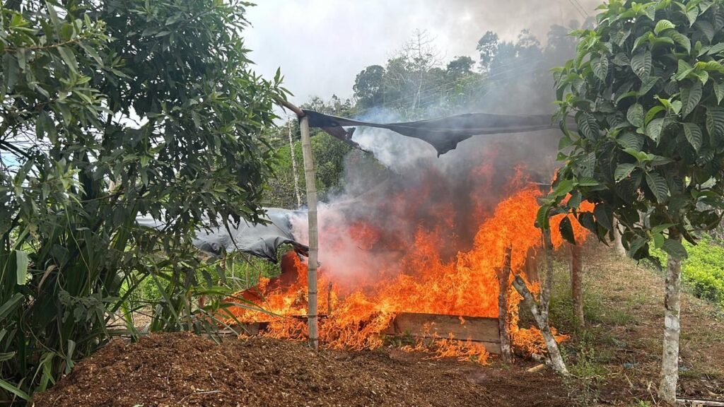 Desmantelan labotatorios