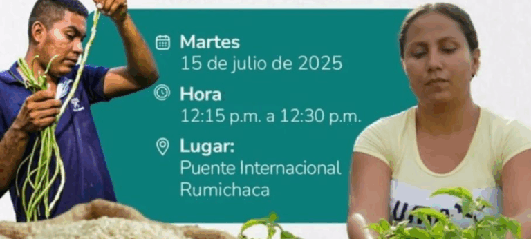 Mayoría de senadores buscarán reelegirse en las elecciones de 2026