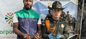 Policía rescata siete tortugas morrocoy en zona rural