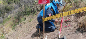 Desminadores eliminan riesgo en zona rural de San Pablo