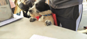 La Secretaría de Ambiente y Desarrollo Sostenible del Departamento de Nariño anunció la apertura del proceso de inscripción para que entidades municipales