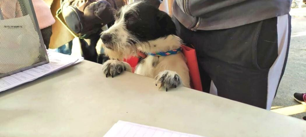 La Secretaría de Ambiente y Desarrollo Sostenible del Departamento de Nariño anunció la apertura del proceso de inscripción para que entidades municipales