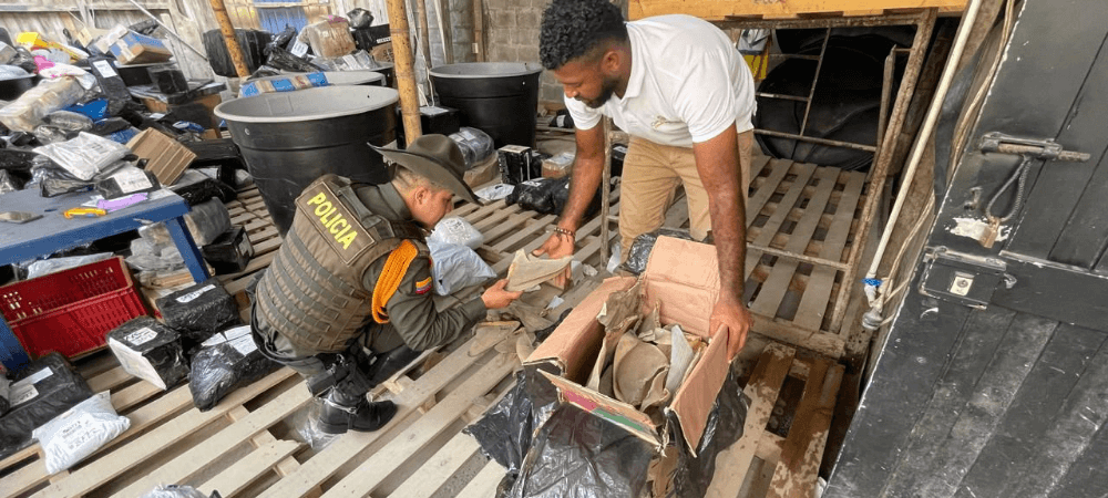 Incautan 76 aletas de tiburón en Tumaco: envío ilegal provenía de La Guajira