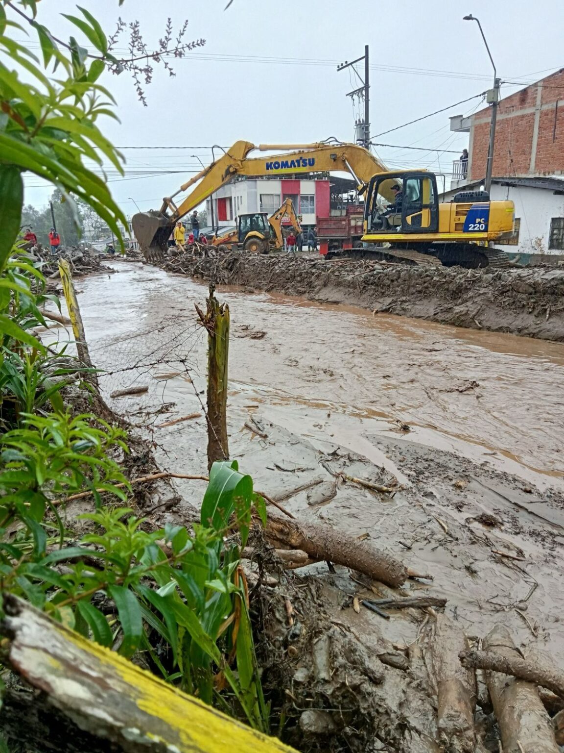 WhatsApp Image 2025-07-12 at 11.06.31