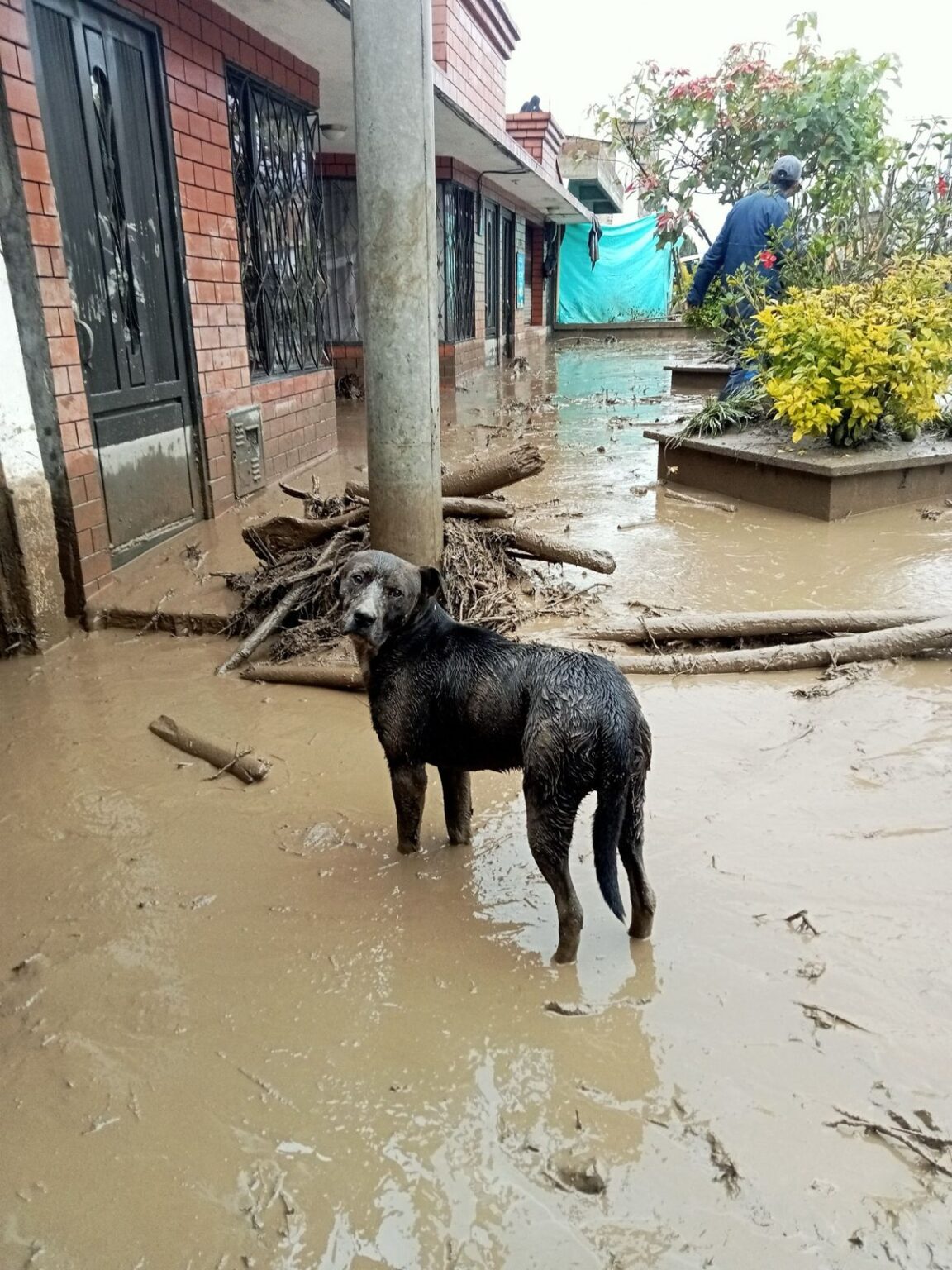 WhatsApp Image 2025-07-12 at 11.06.34