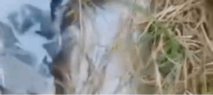 Contaminación e inseguridad afectan a residentes del barrio Nuevo Amanecer en Pasto