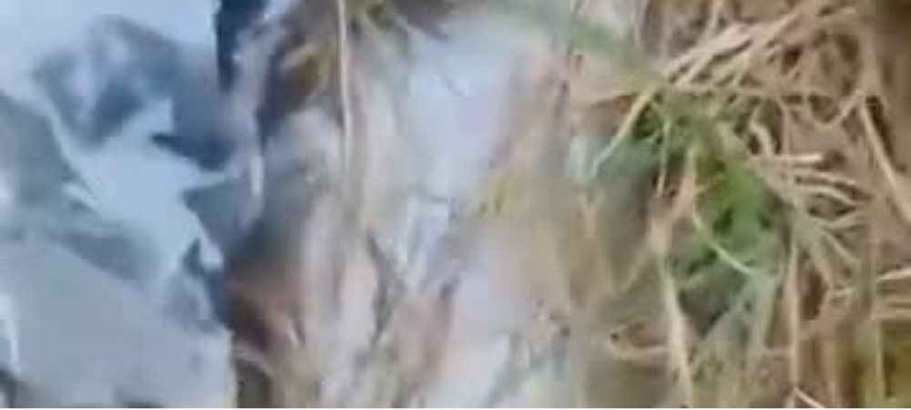 Contaminación e inseguridad afectan a residentes del barrio Nuevo Amanecer en Pasto