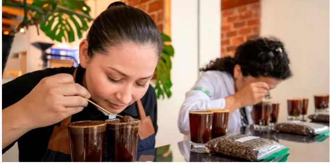 Sandoná fue escenario de la selección de los mejores cafés del occidente nariñense en “La Mejor Taza Nariño 2
