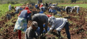 Petro advierte acudir a la ONU si no se aprueba jurisdicción agraria