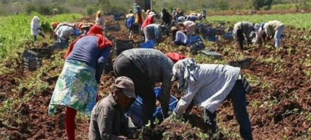 Petro advierte acudir a la ONU si no se aprueba jurisdicción agraria