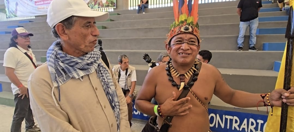 Resultados de las elecciones a Consejos de Juventud.