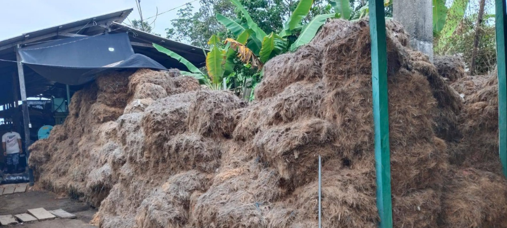 Coagropacífico entrega bloques de fibra de coco y polvillo gratis a la comunidad
