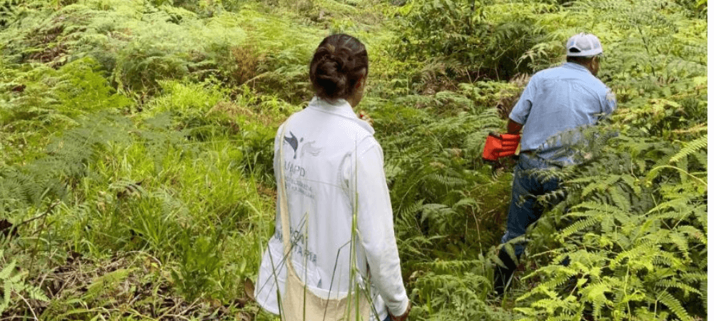 Identifican 12 posibles sitios con cuerpos de personas desaparecidas en El Sande