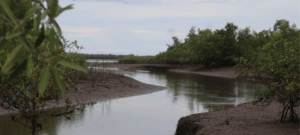 "Petro le cumple a Tumaco, una región que resiste, crea y renace.