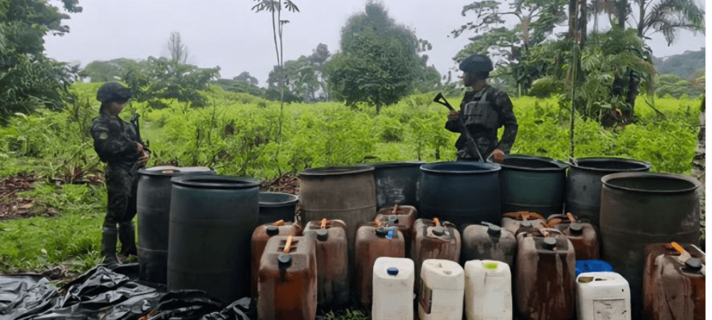 Tropas destruyen depósito ilegal con insumos para producir coca en Barbacoas