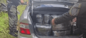 Incautan 300 kilos de marihuana en San Pedro de Cartago tras alerta ciudadana