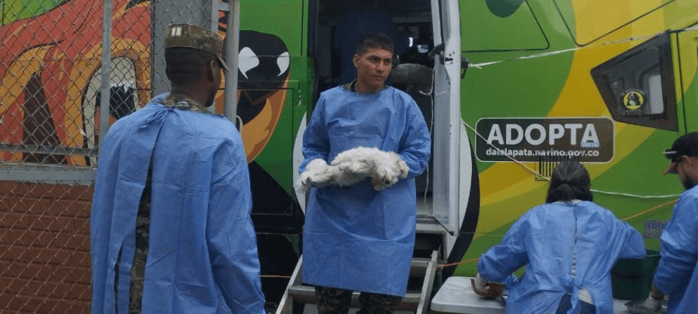 Jornada de esterilización de mascotas benefició a comunidad de Jamondino en Pasto