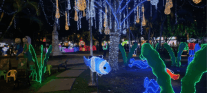 Tumaco | Encienden el alumbrado navideño del parque Colón