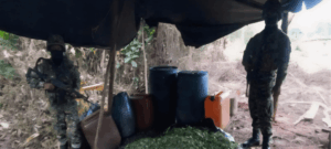 Ejército destruye laboratorio para procesar base de coca en Tumaco