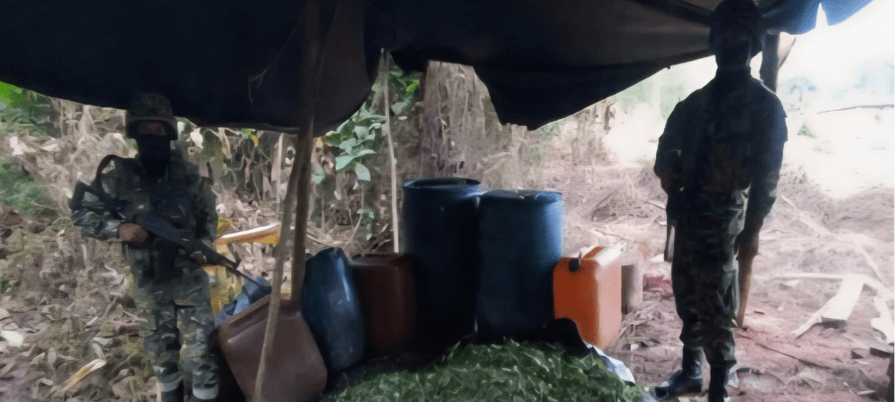 Ejército destruye laboratorio para procesar base de coca en Tumaco