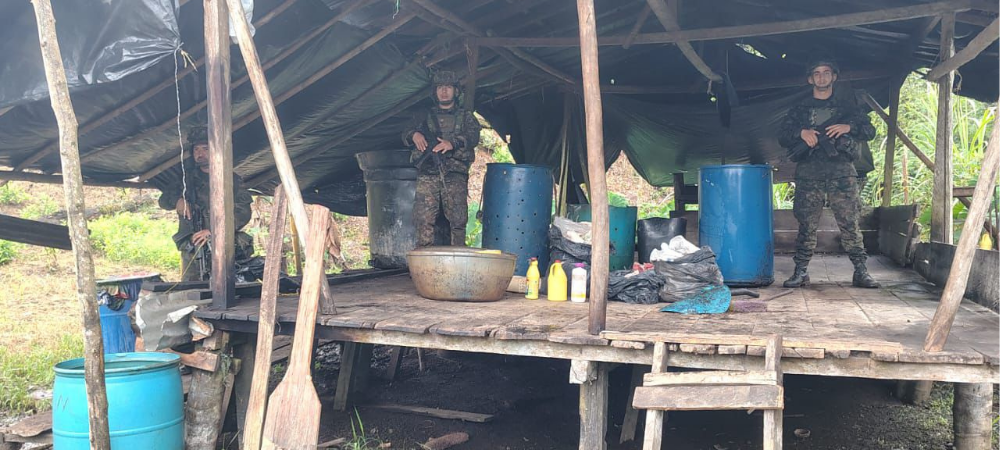 Ejército asesta golpe de $486 millones a economías ilegales en el Pacífico