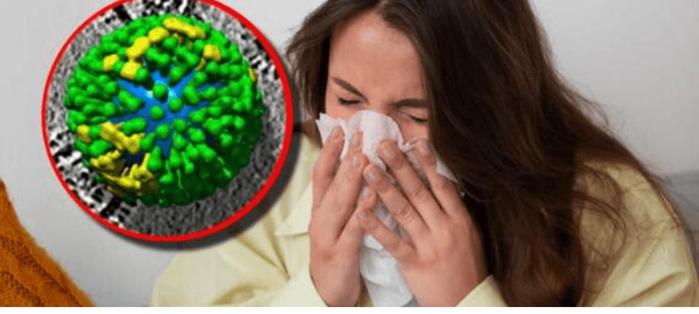 Alerta internacional por aumento de casos de gripe H3N2: autoridades refuerzan medidas de prevención