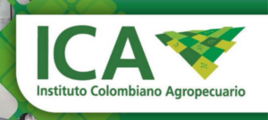 Rendición de cuentas ICA 2025