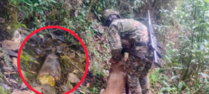 Ejército neutraliza artefacto explosivo en zona rural de Sotomayor