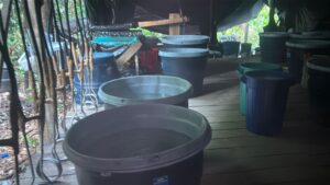 Destruido laboratorio ilegal de cocaína con capacidad de tonelada y media mensual en Tumaco