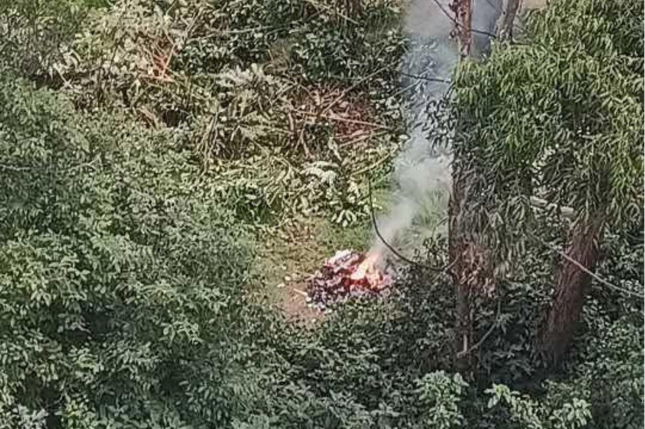 Denuncian daños ambientales por talas y quemas indiscriminadas en el sector de Cyrgo