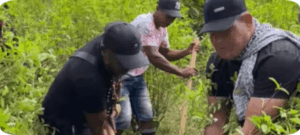 Tumaco se avanza en la sustitución de economías ilícitas por cultivos legales.