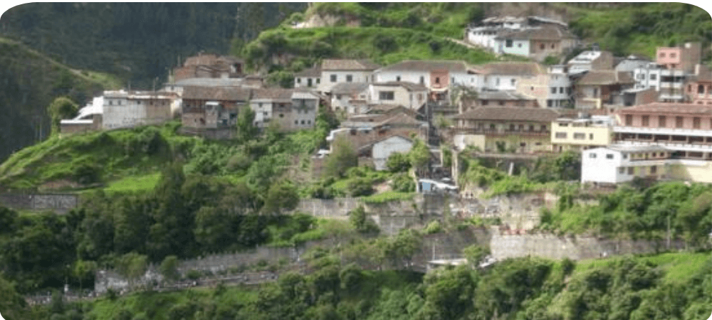 Preocupa el aumento del abandono de animales en el entorno del Santuario de Las Lajas