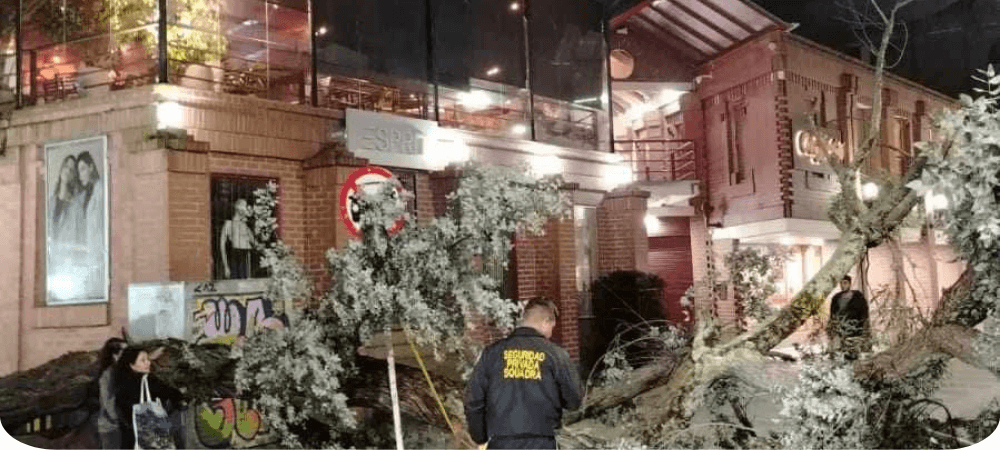 Caida de árbol en el Centro Comercial Sebastián de Belalcázar genera emergencia