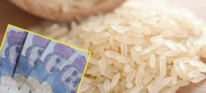 Colombia impone arancel del 30 % al arroz importado desde Ecuador y restringe ingreso terrestre