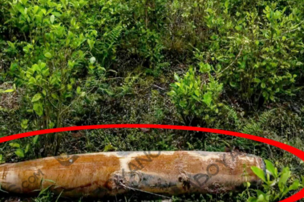 Petro denuncia bombardeo desde Ecuador y Noboa desmiente ataque