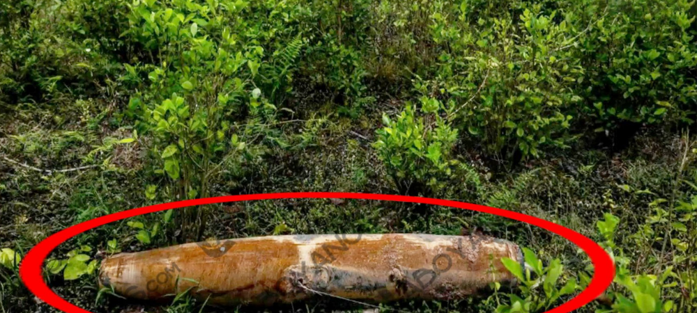 Petro denuncia bombardeo desde Ecuador y Noboa desmiente ataque